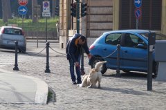 DSC01643.jpg